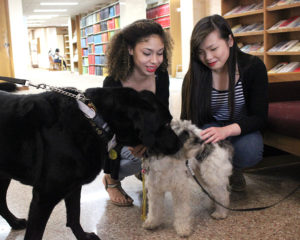 Therapy dogs will be in Moffett Library the week of final exams as they were in the spring of 2015. Photo by Francisco Martinez. 