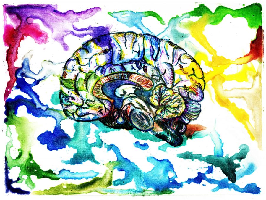 Jillian Poole’s “Watercolor Mono” depicts a human brain and its nervous system. 
Courtesy Photo