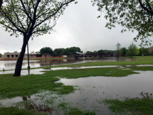 Sikes Lake and the surrounding grassy area flooded April 27 following a rain storm on campus. Photo by Jessalyn Castro.