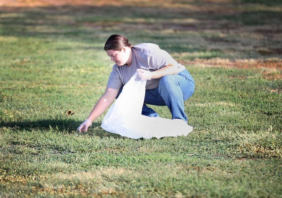 Sarah Cobb, mathematics assisstant professor, picks up trash in the grass as a volunteer at the Sikes Lake cleanup, Sept. 12, 2015. Photo by Rawlecia Rogers.