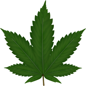 pot leaf