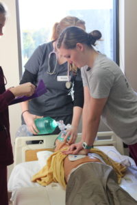 Shelby Horne, radiology senior, performs chest compressions on the mannequin at the Adult Code simulation Nov. 18. The mannequin is connected to a sophisticated computer equipped to display a variety of symptoms to accommodate a series of medical scenarios. Photo by Brendan Wynne.