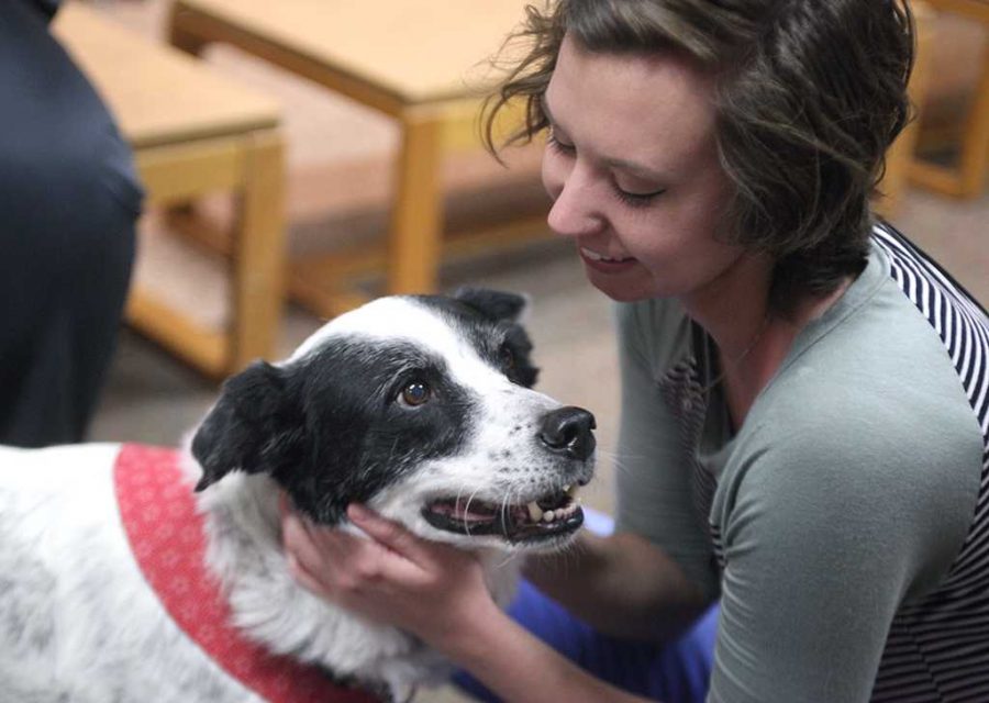 Mekenna Hatfield, athletic training junior, breaks away from her studies to be with Buddy, one of the dogs during Canine Cuddles at the Moffett Library on May 2. Photo by Arianna Davis