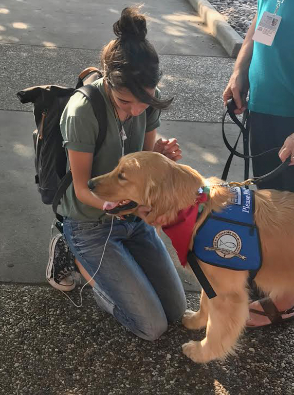 Felisa Nihof, pre-vet sophomore, stops by to greet comfort dog Elijah on her way out of Moffett library on Sept. 20. Photo by Harlie David