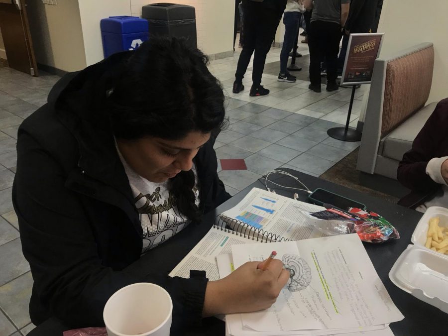 Vanessa Quiñones, radiology freshman, studying for an upcoming test at the Clark Student Center.