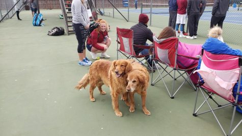 Tennis players enjoy pup after game.