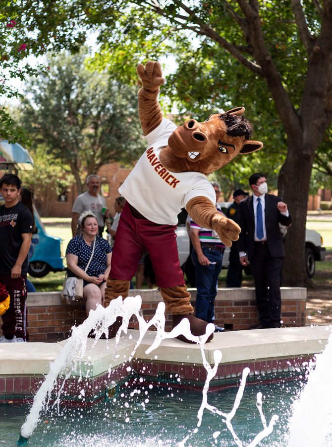 Maverick considers a jump into Bolin Fountain, but decides to pose instead