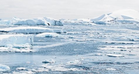 Antarctica ice caps. 