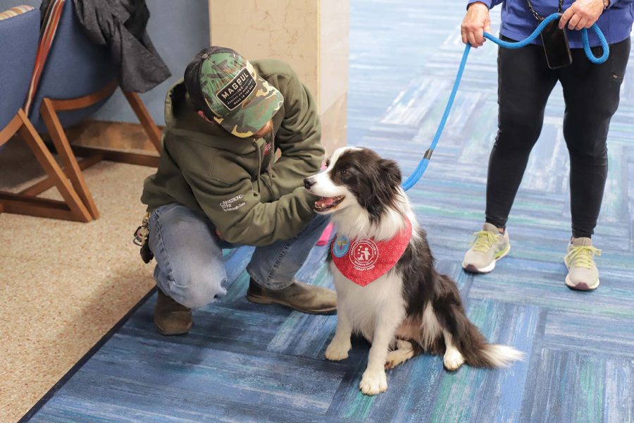 Tanner Willis pets therapy dog Ian, a border collie who has won many ribbons in agility competitions across Oklahoma and Texas, Nov. 29.