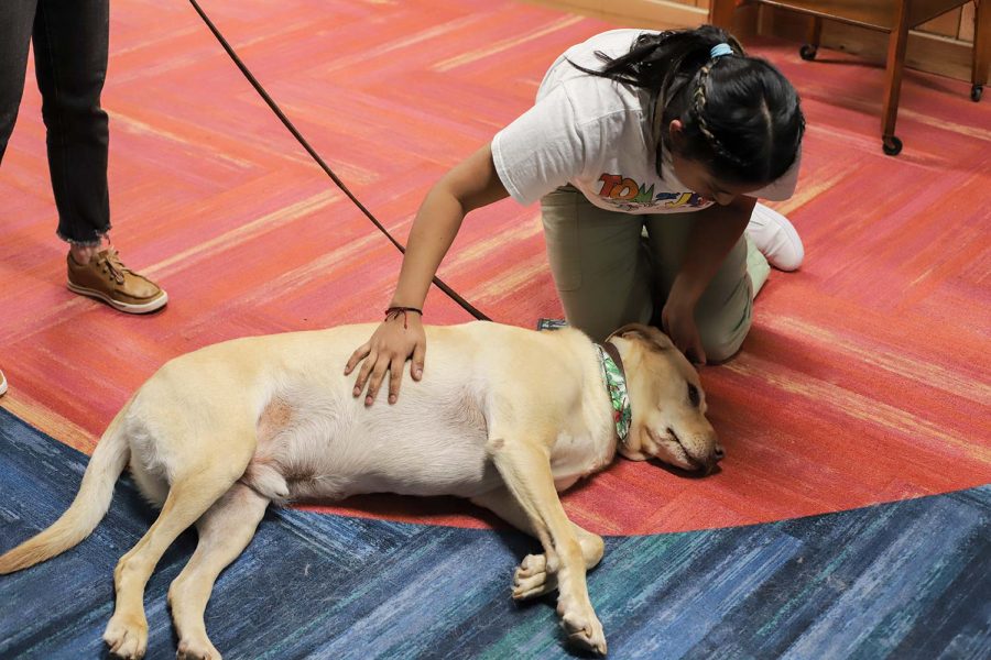 Chemistry freshman Abigail Simbana takes a break from studying in the library with therapy dog Woodrow, Nov. 29.