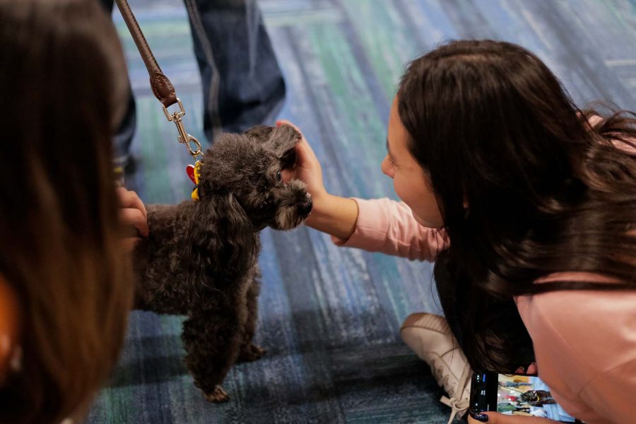 Mass communication junior Juliana Abril pets Dexter, the Toy Poodle, Nov. 29.
