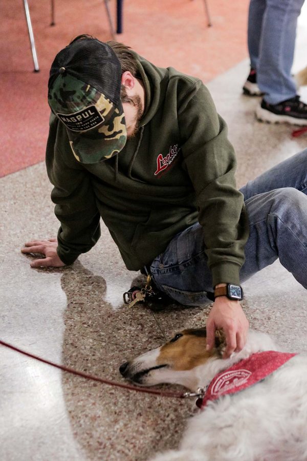 Visitor Tanner Willis sits on the floor while petting Neva the Borzoi, Nov. 29.