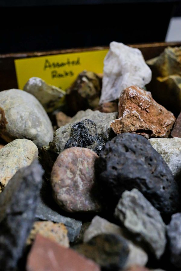 The Geoscience Club offers numerous rocks, varying in size, look and price, April 12.