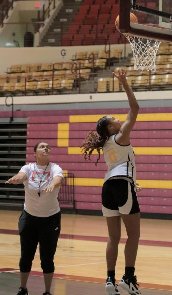 Lady Mustangs player Zarria Carter describes basketball experiences